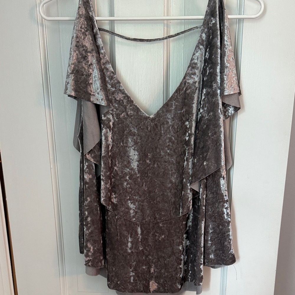 She + Sky Taupe Velvet Top